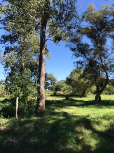 Imagen 5 de 7 de Lote A La Venta En Recreo - Sobre Ruta 70