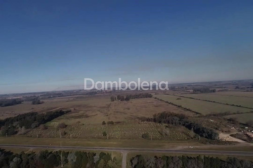Imagen 11 de 11 de Terreno Fraccion En Alquiler Ubicado En Zárate, G.b.a. Zona Norte