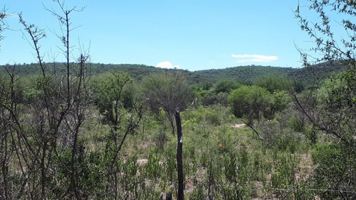 Imagen 11 de 14 de Vendo Lotes De 1000-1500 M² En El Rincón - San Marcos Sierra