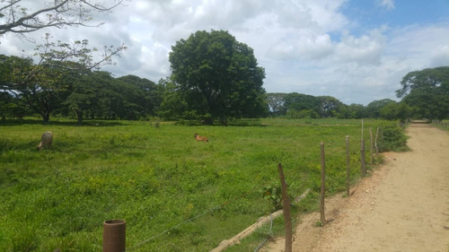 Imagen 24 de 27 de Se Vende Finca Hacienda En Estado Zulia, Ml