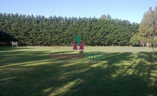 Imagen 8 de 30 de Importante Casa Quinta