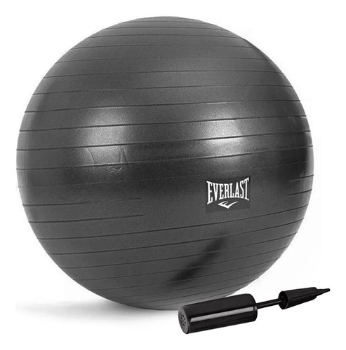 Pelota Esferodinamia 65 Cm Inflador Everlast Reforzada Yoga