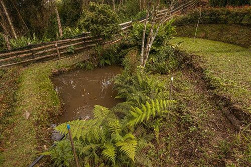 Imagen 30 de 30 de Venta De Linda Cabaña En Guarne Vereda La Pastorcita 1.500 Mts²