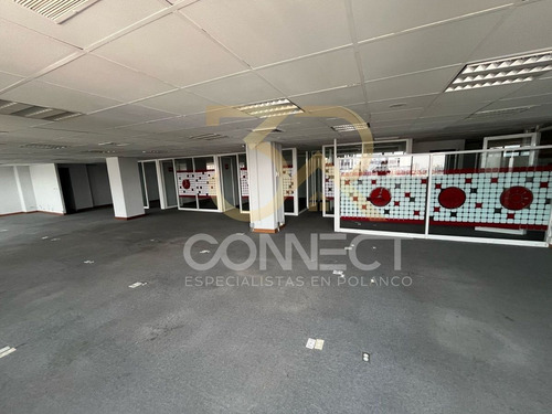 Oficina En Renta En Anzures 5c/2b/1e - Comedor - Cocineta - 245m2