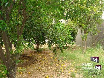 Casa Com 3 Dormitórios À Venda, 190 M² Por R$ 400.000,00 - Jardim Colibri - Marília/sp - Ca0302