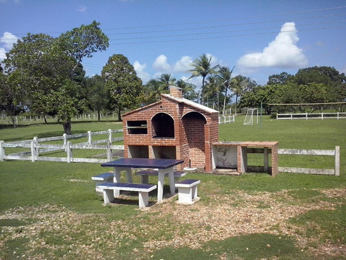 Imagen 2 de 14 de Se Vende Finca En La Vía Al Sur