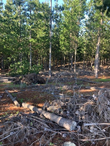 Terreno En Navidad, Localidad De Matanzas