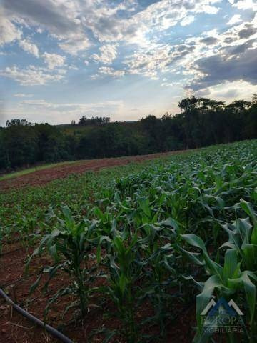 Imagem 13 de 15 de Chácara Com 2 Dormitórios À Venda, 30000 M² Por R$ 500.000,00 - Agua Das Flores - Jataizinho/pr - Ch0155