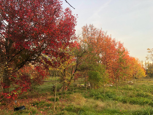 Terreno En Moreno