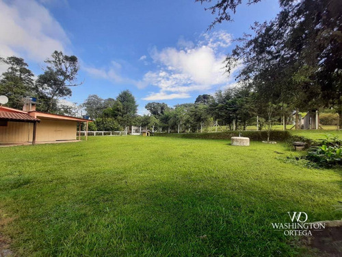 Chácara Com 4 Dormitórios À Venda, 3025 M² Por R$ 375.000,00 - Faxina - São José Dos Pinhais/pr - Ch0074