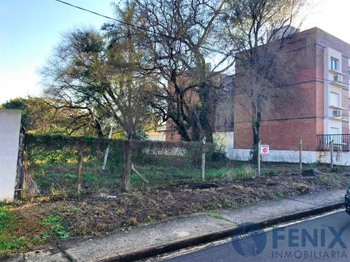Imagen 1 de 1 de Ref Tf320 Excelente Terreno Zona Ucamis