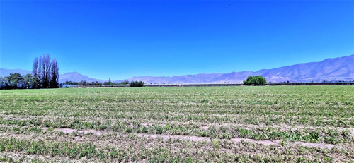 En Venta Parcela En San Rafael, San Felipe, 75.600 M2., En P