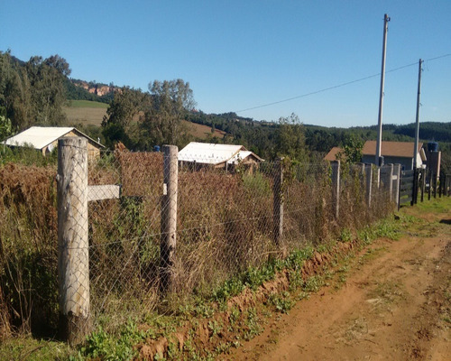 Chácara 1.200 M² - Lomba Grande - Novo Hamburgo - Rs - 1184 - 32419705