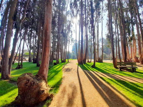 Lindo Departramento En Costa Algarrobo Norte 3d, 2b, 1e.