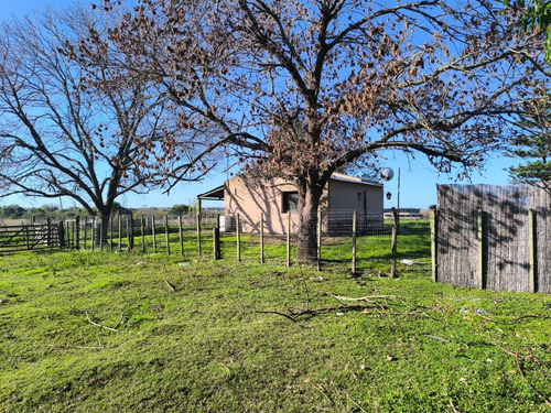 Venta Y Alquiler De Hermosa Chacra De 3 Dormitorios Con 3 Has Sobre Ruta 21