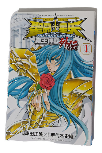 Saint Seiya Lost Canvas Gaiden 1 Japones (Usado)