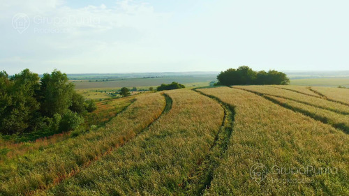 Campo En Arrendamiento - Cerro Largo