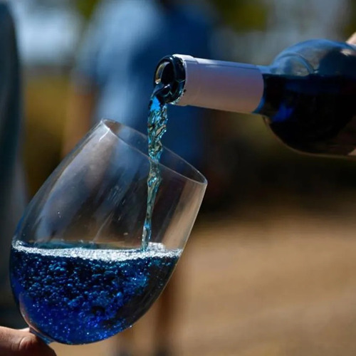 Vino Frizze Blue Evolution 750ml Espumante Dulce