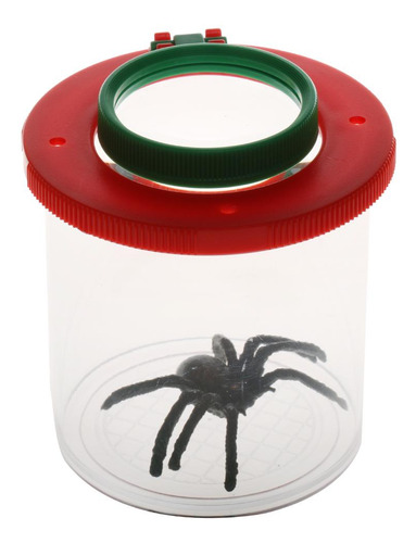 4 Caja De Magnificar Visor De Entomólogos Juguete Para