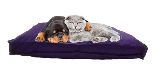 Colchón Liso Antidesgarro 90x60x10 Cama Perros Mascotas Gato