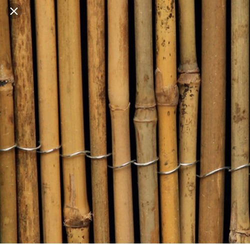 12 Varas De Bambu Naturales 160cm Largo  Aa1 