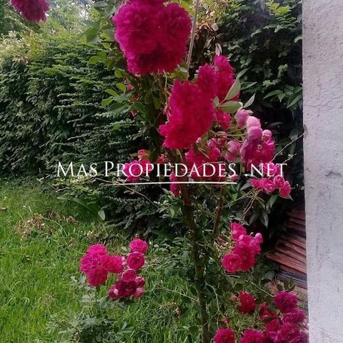 Casa En Venta 1 Dormitorios En De Vicenzo
