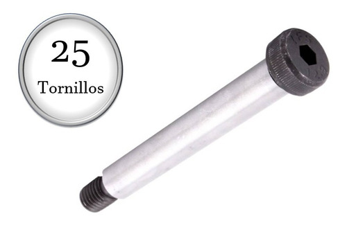 25 Tornillos De Guía Métrico M10 X 25mm P