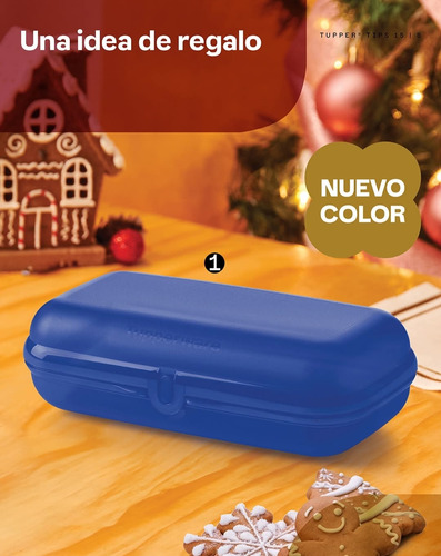 Multicositas Tupperware