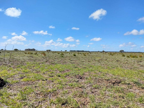 Imagen 17 de 19 de Campo De 95 Has En Ataliva Roca -la Pampa