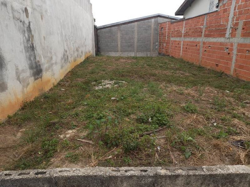Imagem 4 de 4 de Terreno Plano Na Principal Avenida Do Santa Paula - To-1936