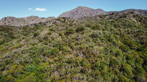 Imagen 5 de 28 de Se Venden 148 Ha De Terreno En Cerro Pan De Azúcar