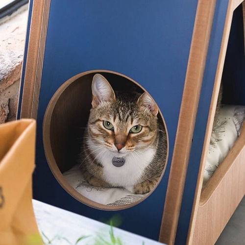 Imagen 4 de 10 de Rascador Para Gatos ¡diseño Exclusivo! - Incluye Almohadón