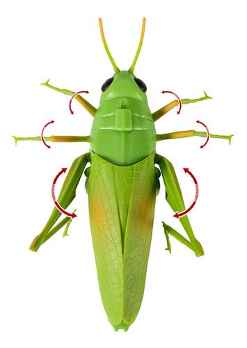 Realista Rc Saltamontes Juguete Broma Tricky Juguetes