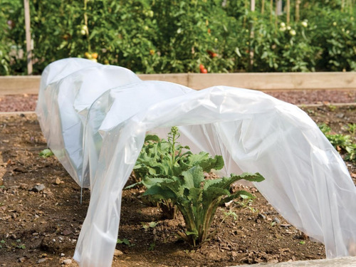 Tela Manta Antihelada 2,40 X 25m Protección Helada Plantas