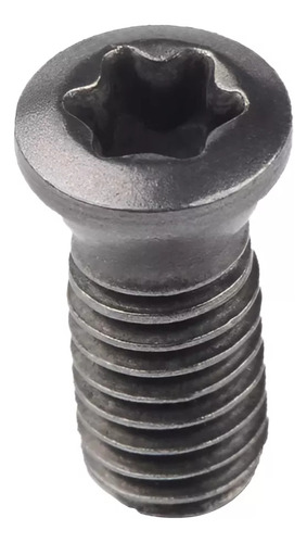 10 Tornillo Torx M4 X 12 Mm Para Porta Inserto Corona Piña