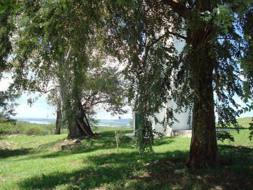 Campo - Villa Del Dique, Córdoba, Argentina.