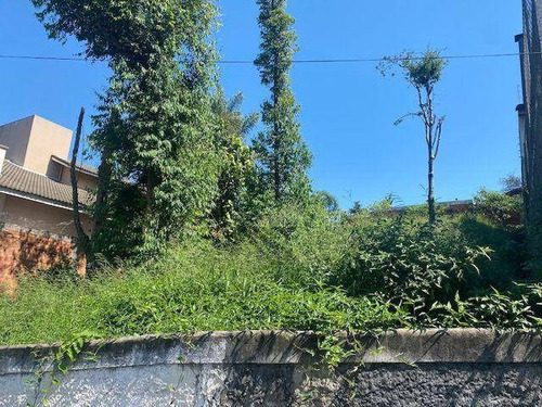 Imagem 6 de 7 de Terreno À Venda, 458 M² Por R$ 390.000,00 - Parque Dos Príncipes - São Paulo/sp - Te9624