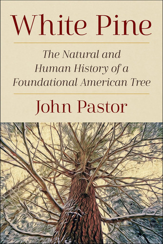 Libro: White Pine: The Natural And Human History Of A Tree