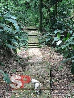 Imagem 6 de 15 de Terreno Em Condomínio Fechado Para Venda Com 585 M² | Jardim Peri, São Paulo | Sp - Tr423292v