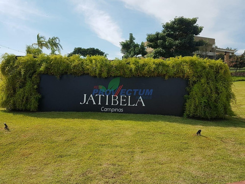 Imagem 14 de 25 de Terreno À Venda Em Residencial Jatibela - Te281103