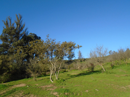 Parcela Con 2 Construcciones. Cercana Acceso Troncal Sur...