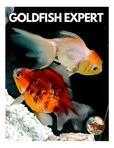E-book Guía Para La Crianza Del Gold Fish 