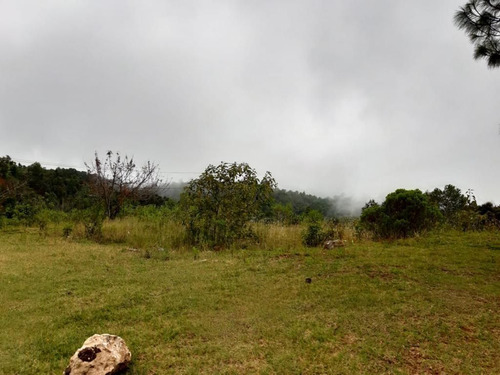 Terreno Campestre En San Cristobal De Las Casas, Vista Espectacular Y En Pagos !