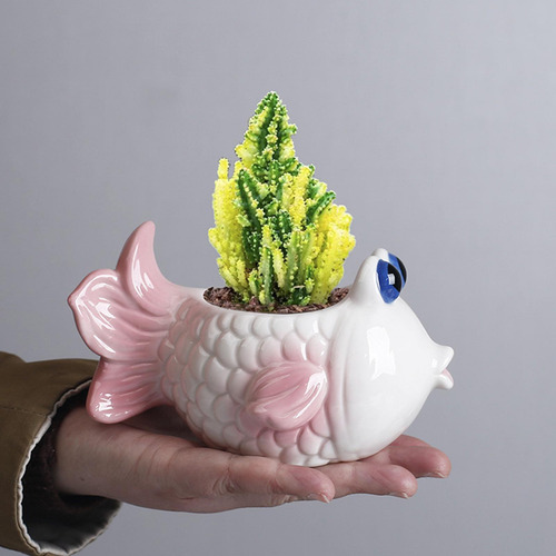 Planta De Pescado Maceta Mini Maceta