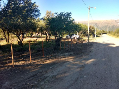 Imagen 1 de 8 de Gran Lote De 1500 Mts Con Forestacion Autoctona!!