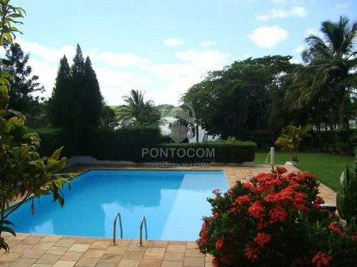 Imagem 13 de 18 de Linda Chácara - Lins - 3841102v