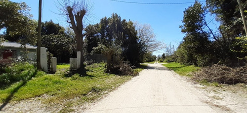 Imagen 3 de 9 de Casa En Punta Indio