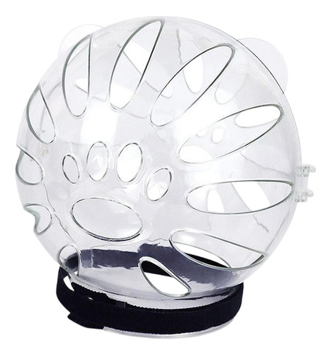 Suministros Para Gatos Domésticos Largo 155mmx145mm