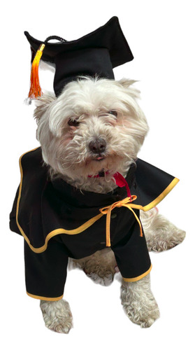 Disfraz De Graduado Para Mascotas Talla 2