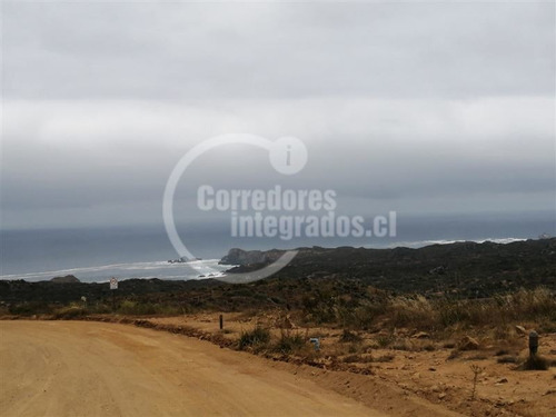 Imagen 14 de 19 de Sitio En Venta En Rocas Del Mar, Los Molles